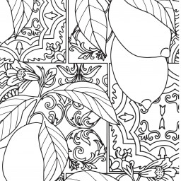 lemons coloring page2